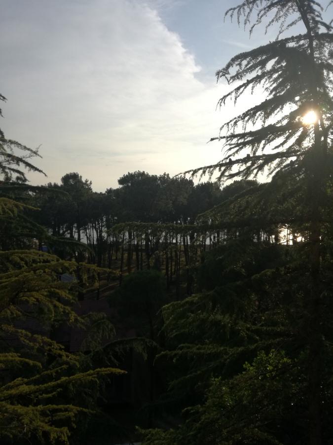 Studio Apartment With Great View Ureki Extérieur photo