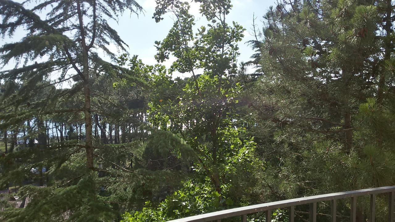 Studio Apartment With Great View Ureki Extérieur photo